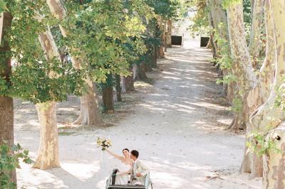 Chaises transparentes disposées en rangées sur une allée blanche, entourées d'arbres dans un cadre extérieur.
