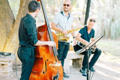 Chaises transparentes disposées en rangées sur une allée blanche, entourées d'arbres dans un cadre extérieur.