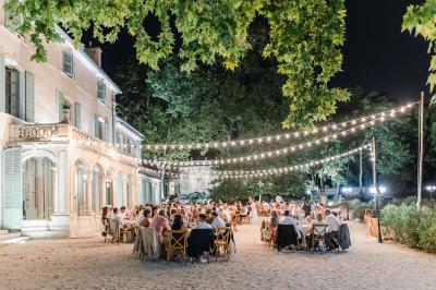 Chaises transparentes disposées en rangées sur une allée blanche, entourées d'arbres dans un cadre extérieur.