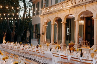 Chaises transparentes disposées en rangées sur une allée blanche, entourées d'arbres dans un cadre extérieur.