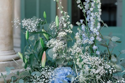 Chaises transparentes disposées en rangées sur une allée blanche, entourées d'arbres dans un cadre extérieur.