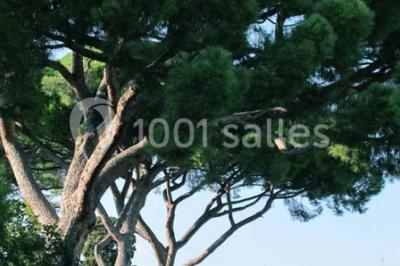 Villa Arson - photo 3