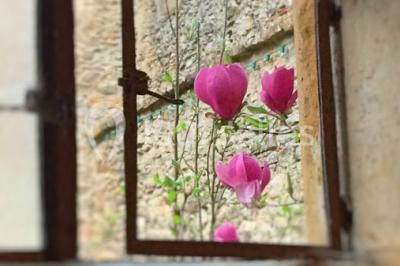 Scooter rose décoré de fleurs roses et blanches, stationné près d'un mur en pierre et d'une porte en bois.