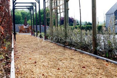 Location salle Anhée (Namur) - Effet Vert Sens #9