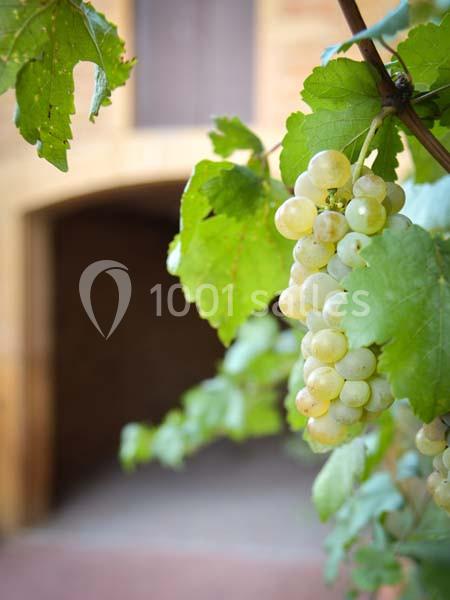 Location salle Denicé (Rhône) - Domaine des Sources #17