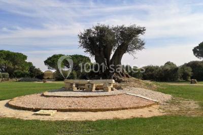 Petite chapelle en pierre éclairée par des lumières colorées dans un environnement nocturne.