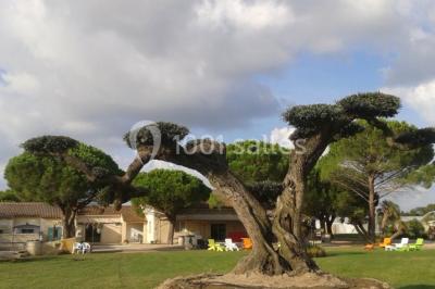 Salle de réception La Rose d'Argence Salle de réception La Rose d'Argence