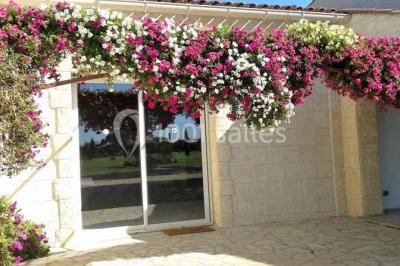 Petite chapelle en pierre éclairée par des lumières colorées dans un environnement nocturne.