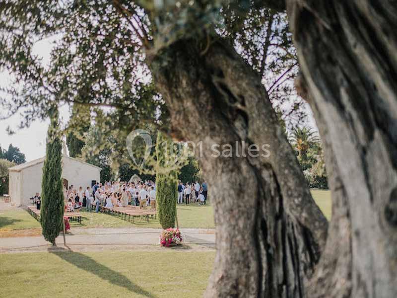 Un groupe de personnes assises à l'extérieur près d'un bâtiment, vu à travers les branches d'un grand arbre.