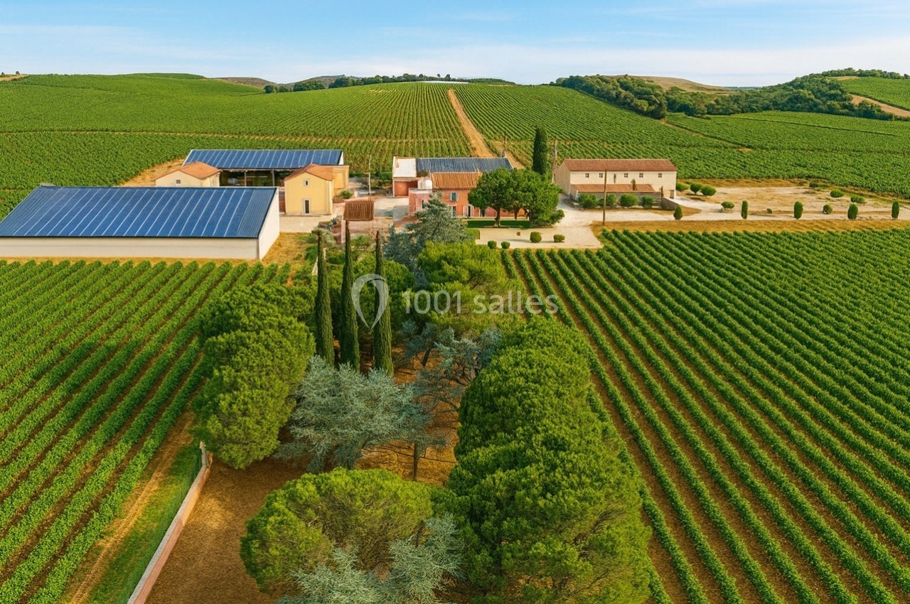 Vue aérienne d'un vignoble avec des bâtiments agricoles entourés de rangées de vignes et d'arbres alignés.