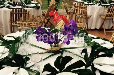 Location salle Andé (Eure) - Château D'ande #21