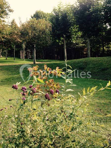 Château D'ande - galerie - photo 15