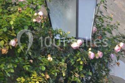 Miniature Location salle Yzeures-sur-Creuse (Indre-et-Loire) - Les Allées D’harambure #8 Location salle Yzeures-sur-Creuse (Indre-et-Loire) - Les Allées D’harambure #22