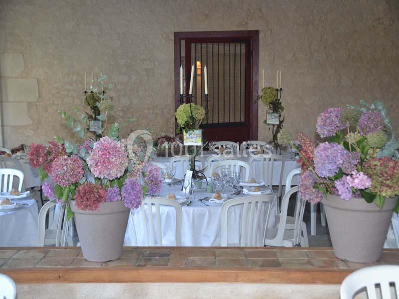 Location salle Yzeures-sur-Creuse (Indre-et-Loire) - Les Allées D’harambure #12