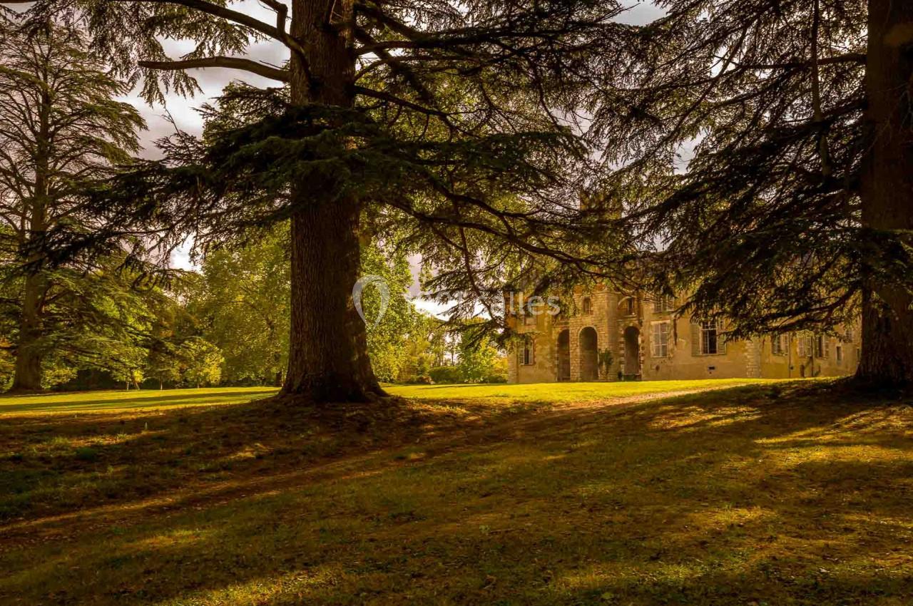 Location salle Beaulieu-sur-Loire (Loiret) - Château de Courcelles Le Roy #29
