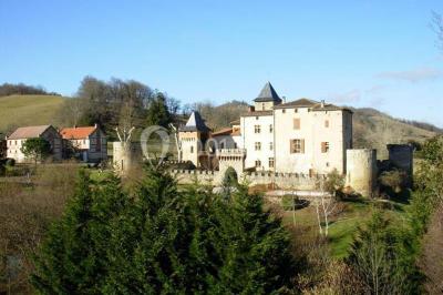 Château de la Hille - photo 1