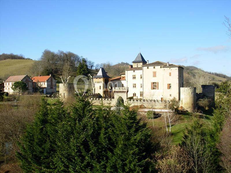 Château de la Hille - galerie - photo 1