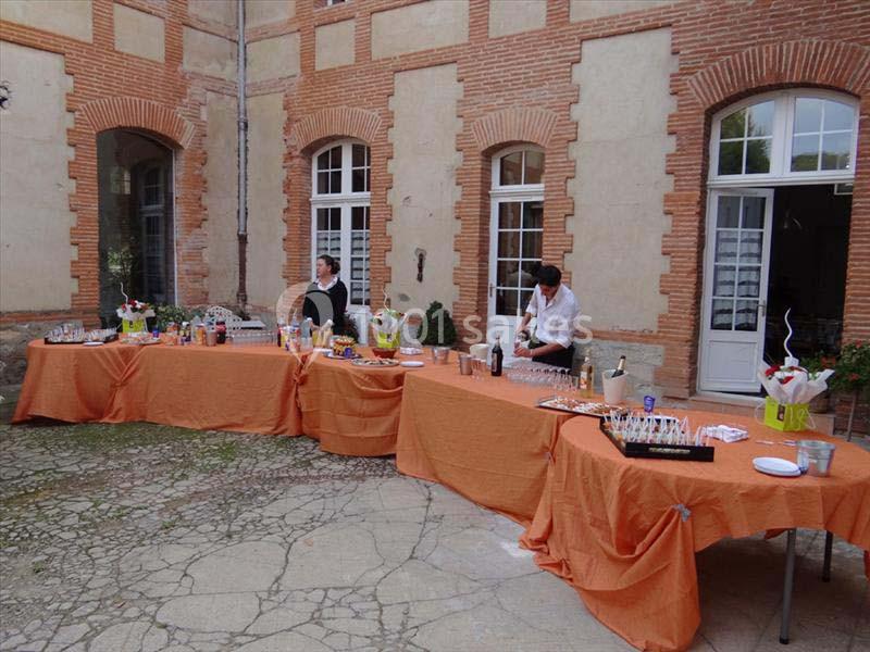 Château de la Hille - galerie - photo 4