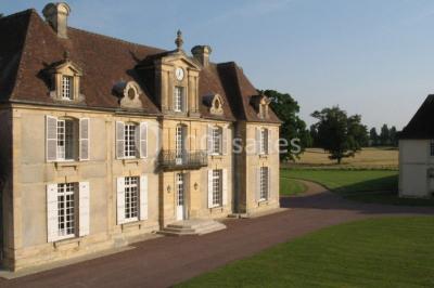 Miniature Location salle Brouay (Calvados) - Château de Brouay #2 Grand espace vert avec des tentes blanches installées sur une pelouse, entouré d'arbres et d'un ciel partiellement nuageux.