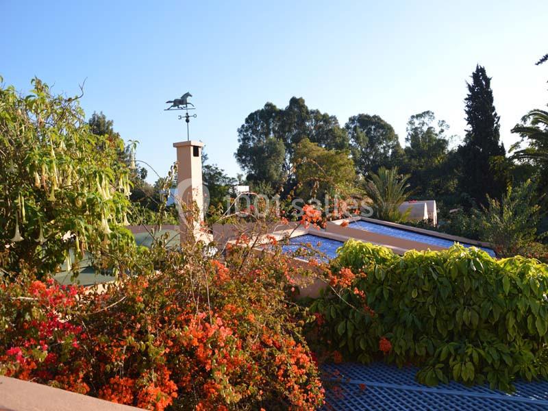 Villa Mandarine - galerie - photo 2
