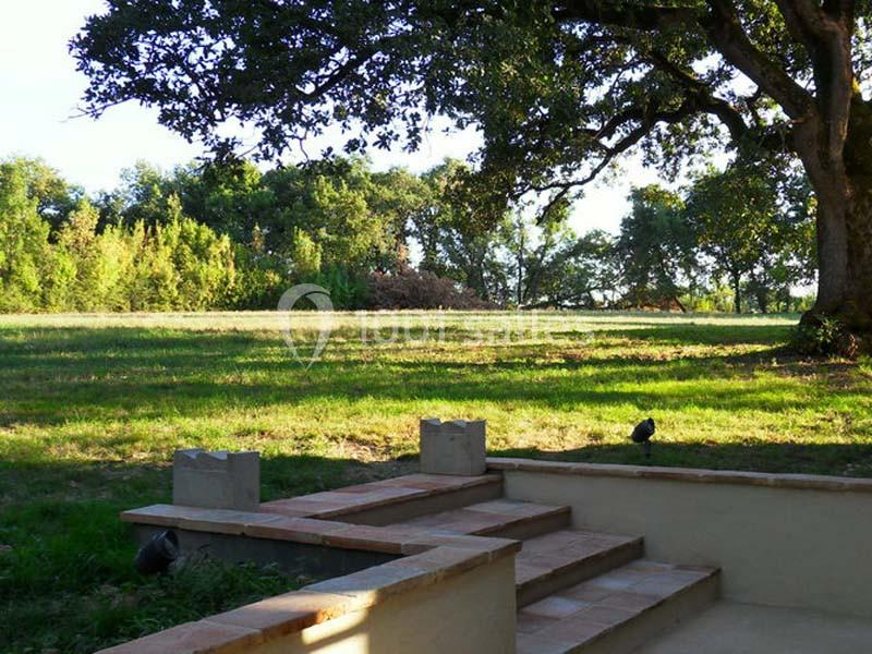 Vue d'un jardin arboré avec une pelouse ensoleillée, des arbres en arrière-plan et des marches en pierre au premier plan.