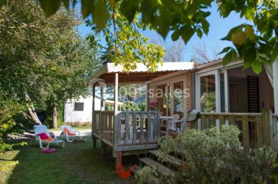 Miniature Location salle Pénestin (Morbihan) - Camping Des Îles #19 Location salle Pénestin (Morbihan) - Camping Des Îles #24