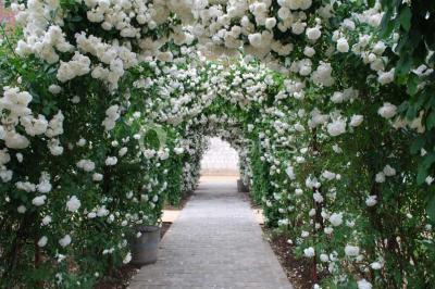 Location salle Beauvais (Oise) - La Maladrerie Saint Lazare #22