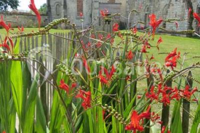 Location salle Beauvais (Oise) - La Maladrerie Saint Lazare #22
