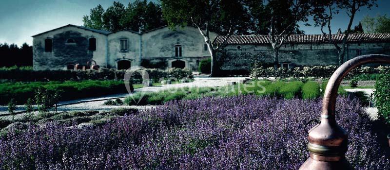 Musée Des Arômes Et Du Parfum - galerie - photo 13