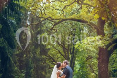 Miniature Location salle Saint-Rémy-lès-Chevreuse (Yvelines) - Domaine de Saint Paul #9 Salle lumineuse avec une grande table dressée pour un repas, décorée de fleurs et entourée de baies vitrées donnant sur un…