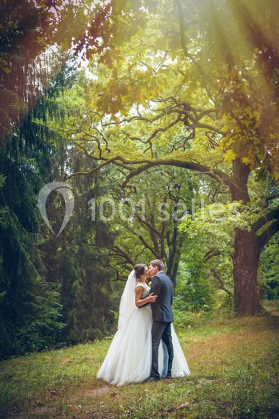 Un couple de mariés s'embrassant dans une clairière boisée sous une lumière douce traversant les arbres.