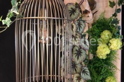 Miniature Location salle Vallauris (Alpes-Maritimes) - L'Adresse #6 Terrasse extérieure avec tables dressées, chaises en métal ajouré, plantes et pergola partiellement couverte.