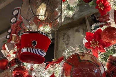 Assiette contenant des feuilles de radicchio garnies de foie gras et de morceaux de pomme disposés en étoile.