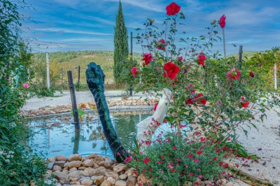 Domaine la Baronne - photo 3
