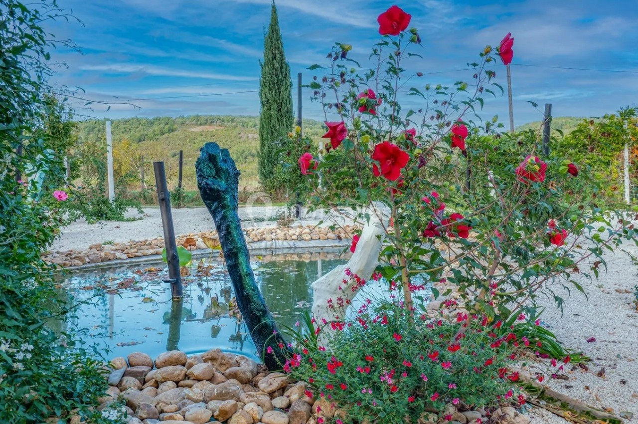 Domaine la Baronne - galerie - photo 3