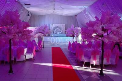 Parking vide avec marquages au sol, entouré de bâtiments industriels et d'arbres sous un ciel dégagé.