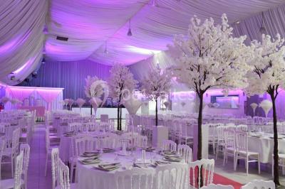 La Fiesta - photo 1