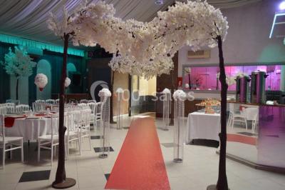 Parking vide avec marquages au sol, entouré de bâtiments industriels et d'arbres sous un ciel dégagé.