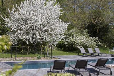 Location salle Angoulins (Charente-Maritime) - Le Carré 1705 #24