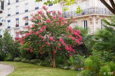 Miniature Location salle Paris 9 (Paris) - Fondation Dosne-Thiers - Institut de France #20 Location salle Paris 9 (Paris) - Fondation Dosne-Thiers - Institut de France #28