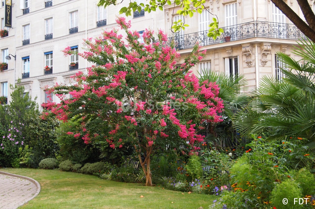 Fondation Dosne-Thiers - Institut de France - galerie - photo 16