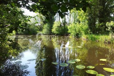 Location salle Sablé-sur-Sarthe (Sarthe) - Château De La Martinière #15