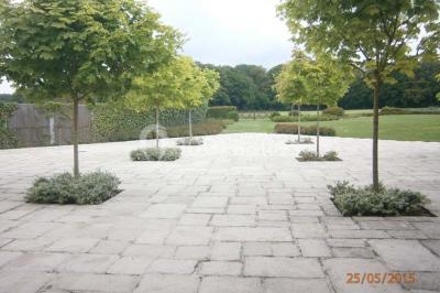 Miniature Location salle Momignies (Hainaut) - Ferme Du Dixième #18 Location salle Momignies (Hainaut) - Ferme Du Dixième #21