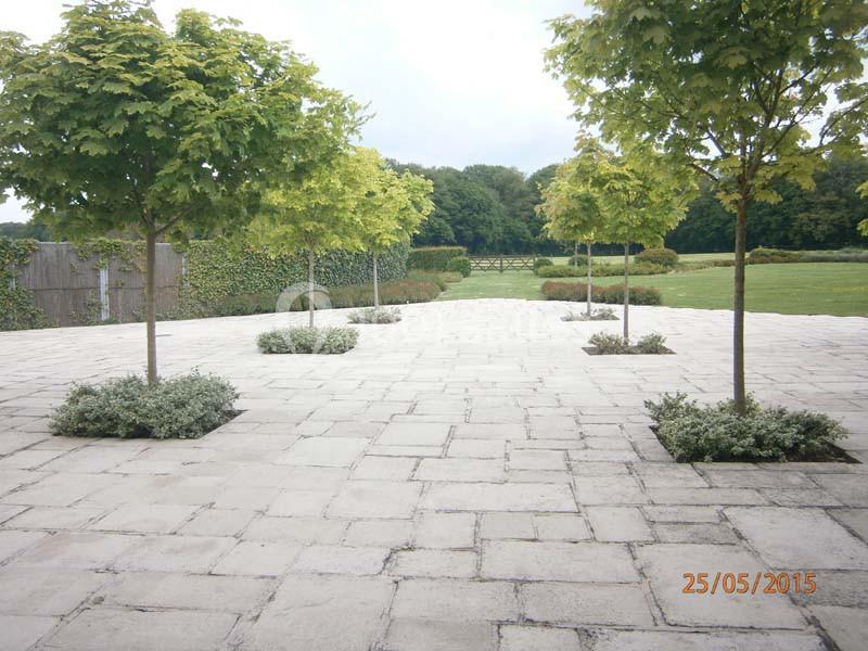 Location salle Momignies (Hainaut) - Ferme Du Dixième #18