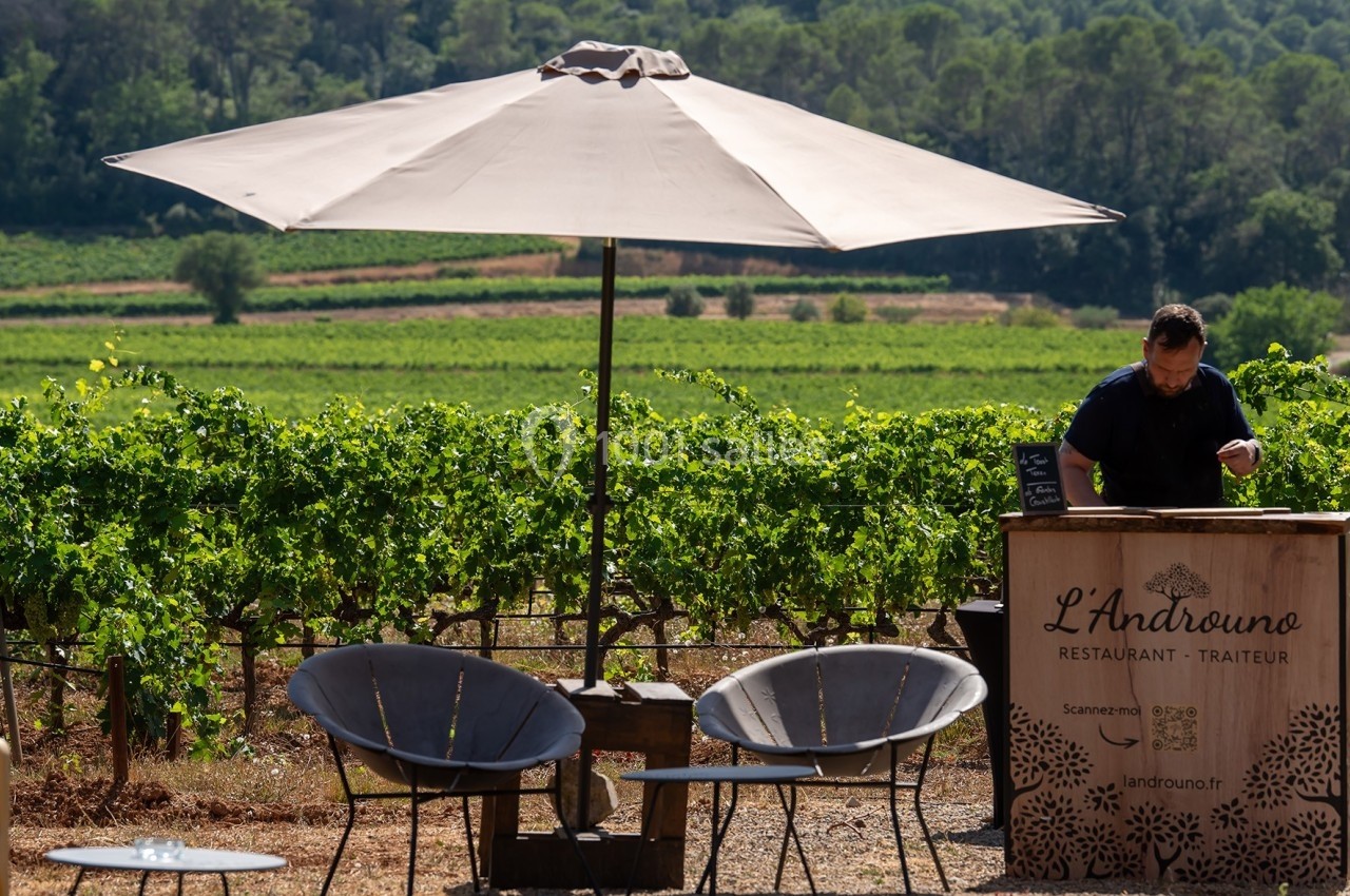 Terrasse avec parasol, deux chaises et un homme près d'un comptoir en bois, devant des vignes verdoyantes.