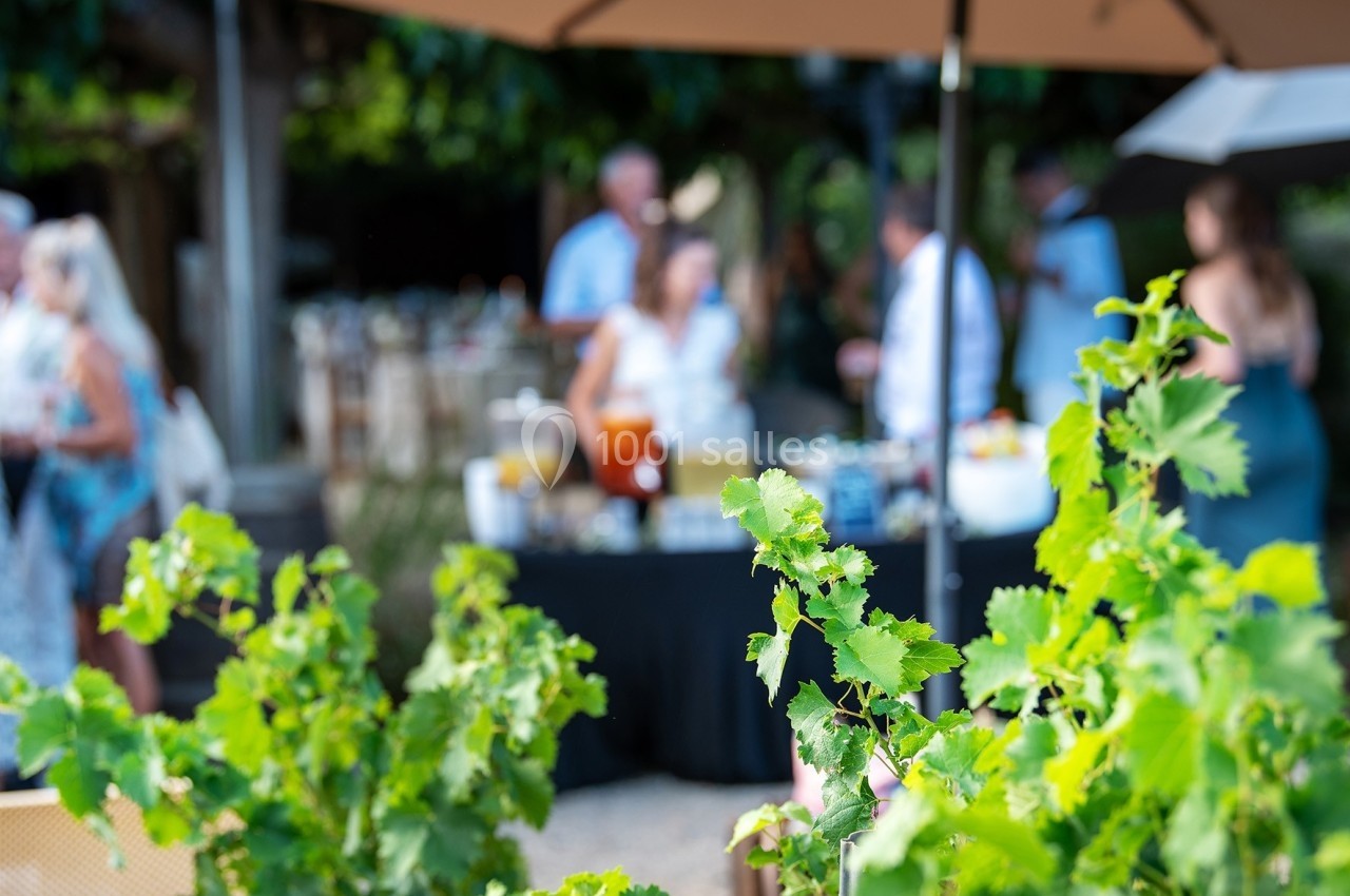 Des feuilles de vigne au premier plan avec des personnes floues en arrière-plan lors d'un événement en extérieur.