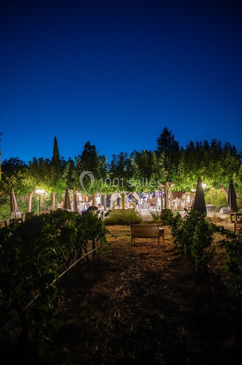 Vue nocturne d'un jardin éclairé avec des tables et des chaises entourées de vignes et d'arbres.