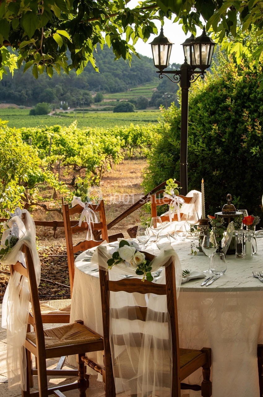 Table décorée pour un repas en plein air sous une tonnelle, avec vue sur des vignes et des collines verdoyantes.