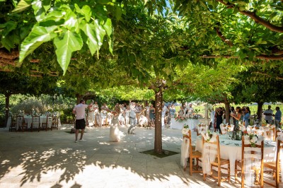 Plateau de petites assiettes garnies, posé sur une table en bois devant des vignes en arrière-plan.