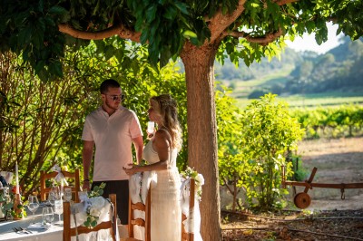 Plateau de petites assiettes garnies, posé sur une table en bois devant des vignes en arrière-plan.